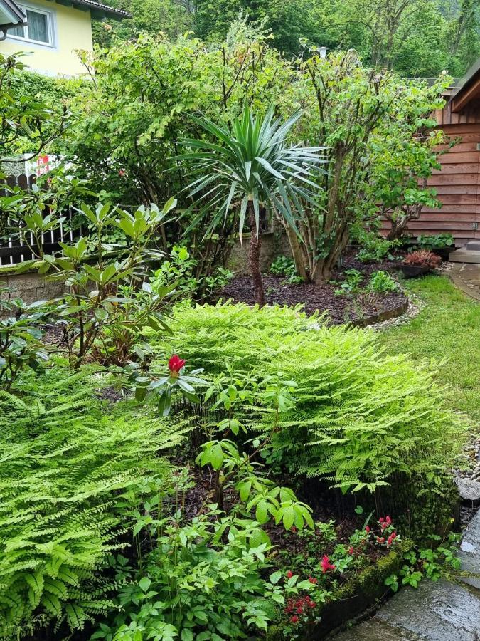 Haus Flora - Ferienwohnung Bodensdorf Dış mekan fotoğraf